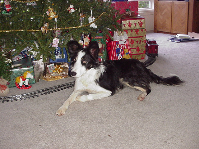 Reata at Christmas
