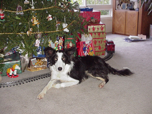 Reata posing with Christmas presents