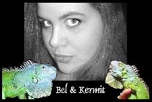 Bel and Kermit
