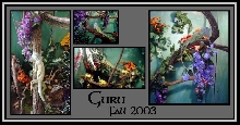 Guru when he first came here