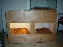 my BRB's cage