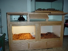 with light doors open