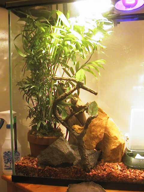 White Spotted Home