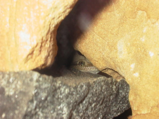 I can see you
