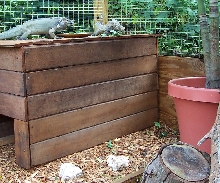 Inside the enclosure