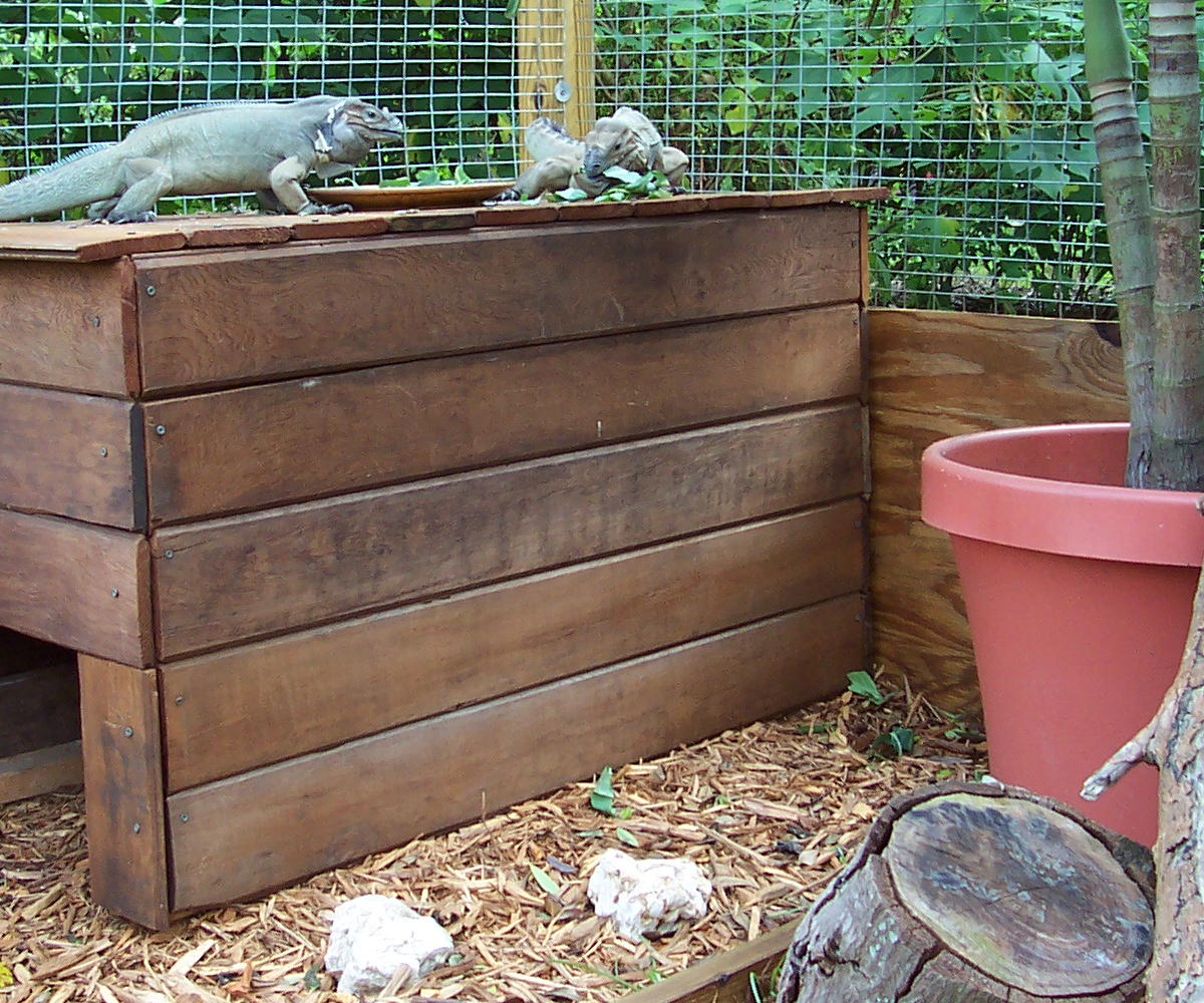 Inside the enclosure