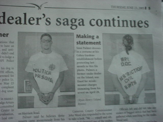 News 4