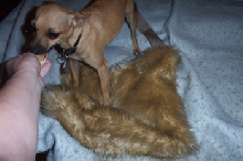 fuzzy 3