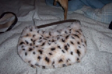 fuzzy purses
