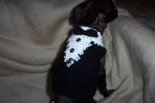 jack 2