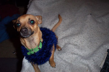 peanut