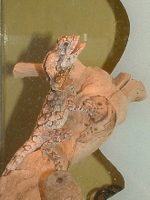 Partial frill