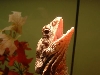 frilly fangs