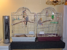 Cages