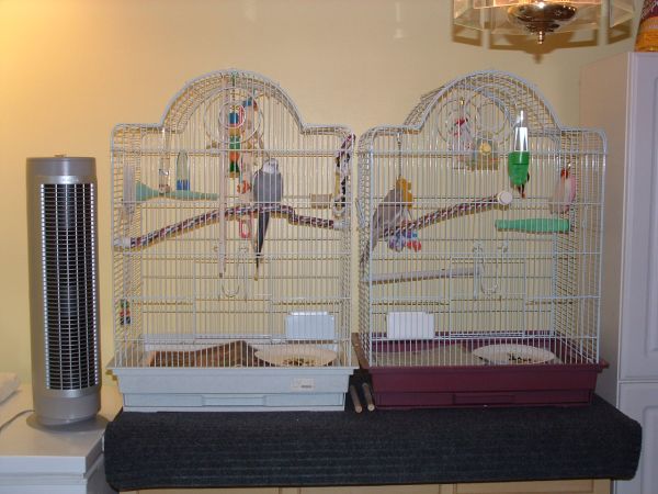Cages