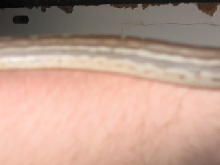 .1 weird bredli
