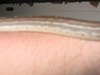 .1 weird bredli