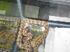 .1 Jaguar (Australian addiction reptiles)