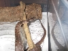 Male Bredli Futo