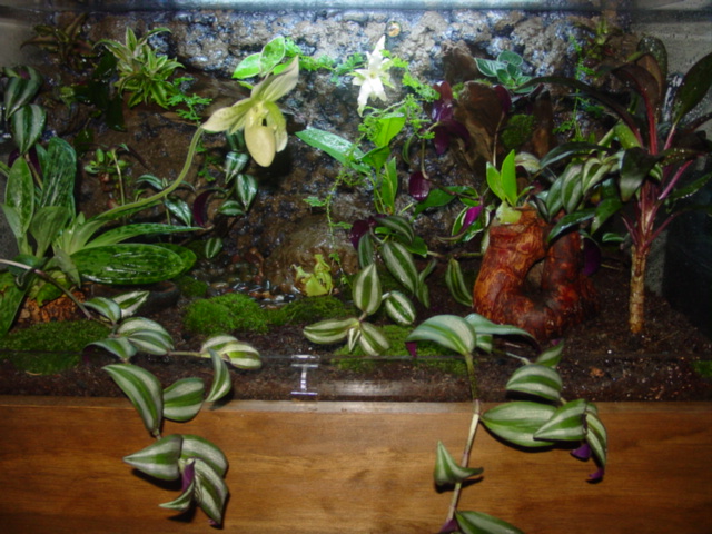 Vivarium