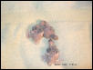 Baby budgie bord 9-7/ 9-9 & 9-11