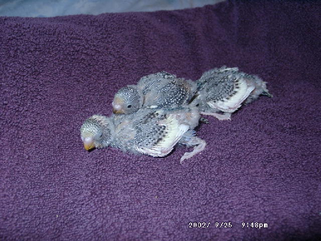 My babys today