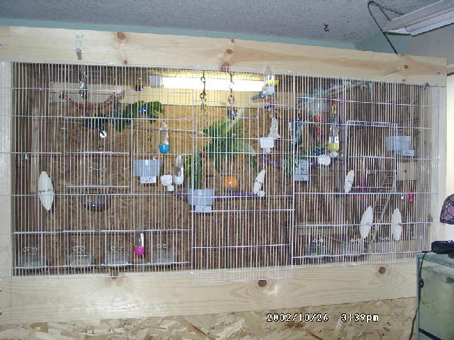 Aviary