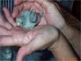 MaybeBabys Baby Pictures