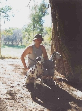 Hunting Dogs