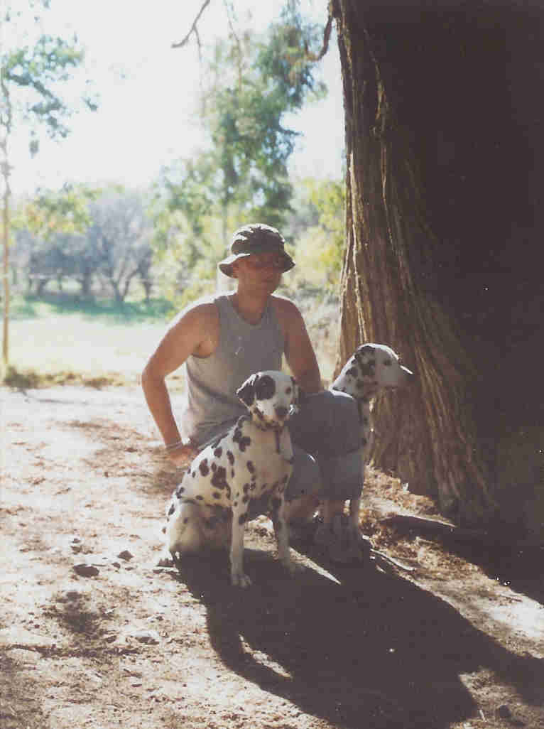 Hunting Dogs