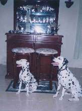 Dili and Dina