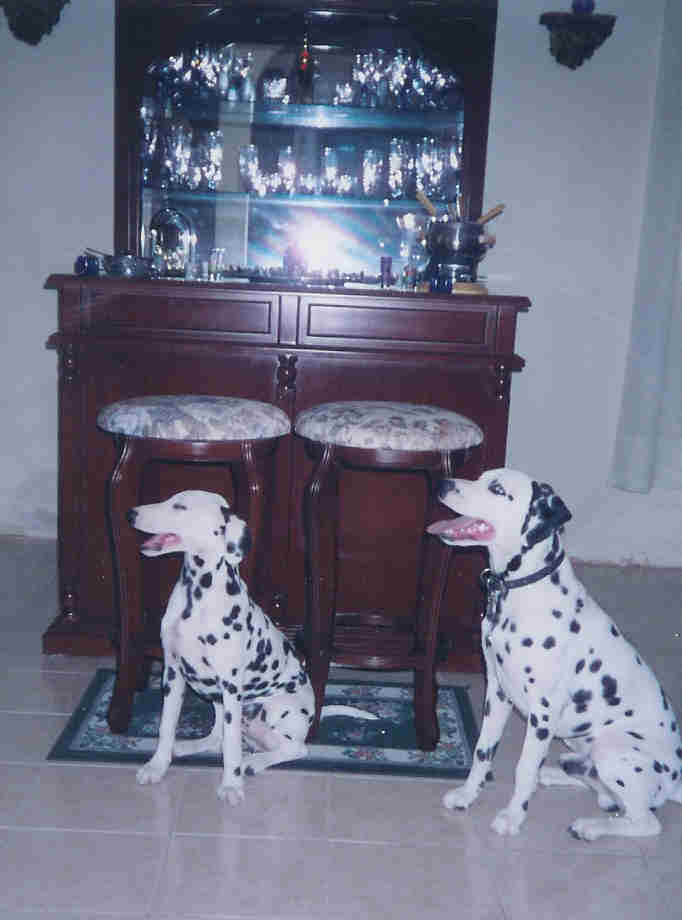 Dili and Dina