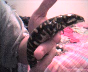 Sallie