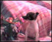 Prissie smelling the flowers