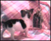 Prissie compared to mommie;s keys