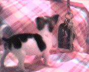 Prissie compared to mommie;s keys
