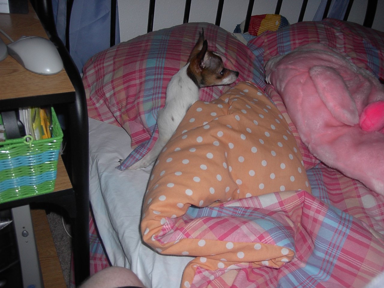 why did you wake me up?!
