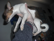 priss im a big girl now!!