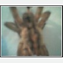 Spider pic 2