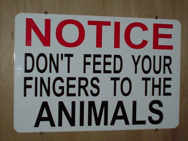 common sense?