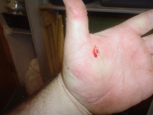 ouch