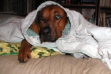 Playing hide and seek