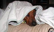 Katie loved the blanket game
