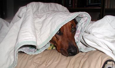 Katie loved the blanket game