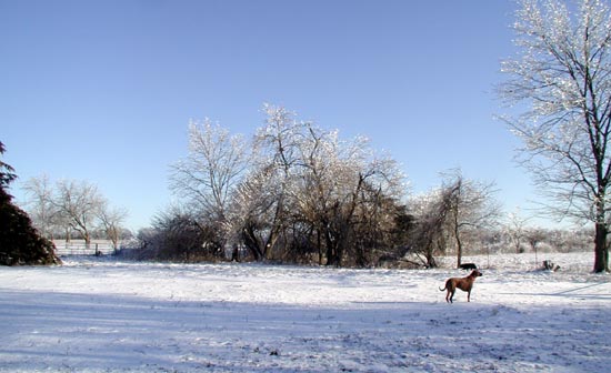 Katie in the snow