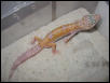 HYPO PASTEL