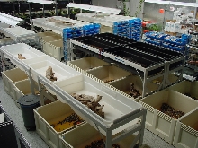 Cal Zoo operation
