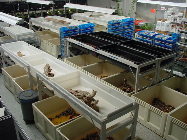 Cal Zoo operation