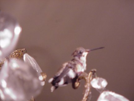 Pierce