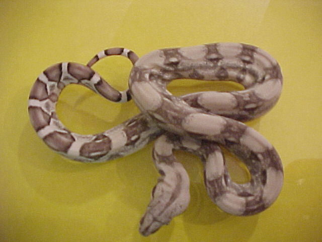 Ghost/anery